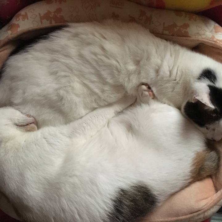 3087d75f 2d15 4003 9458 7f80ea70254a 1562465412056