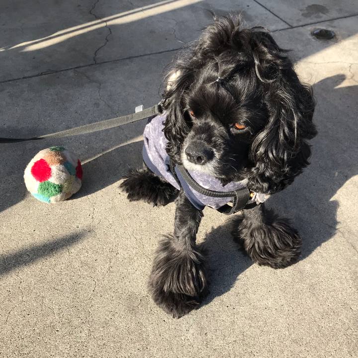 3087e44f 5602 4607 8376 51c6fa1be01f 1573886905883