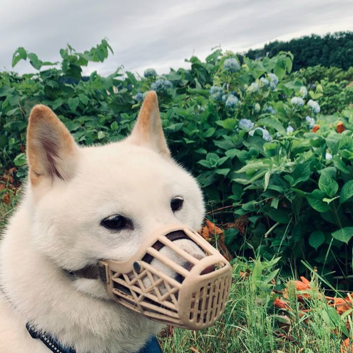 3087f532 c6b4 4548 bf3f f823666413d8 1625522172826