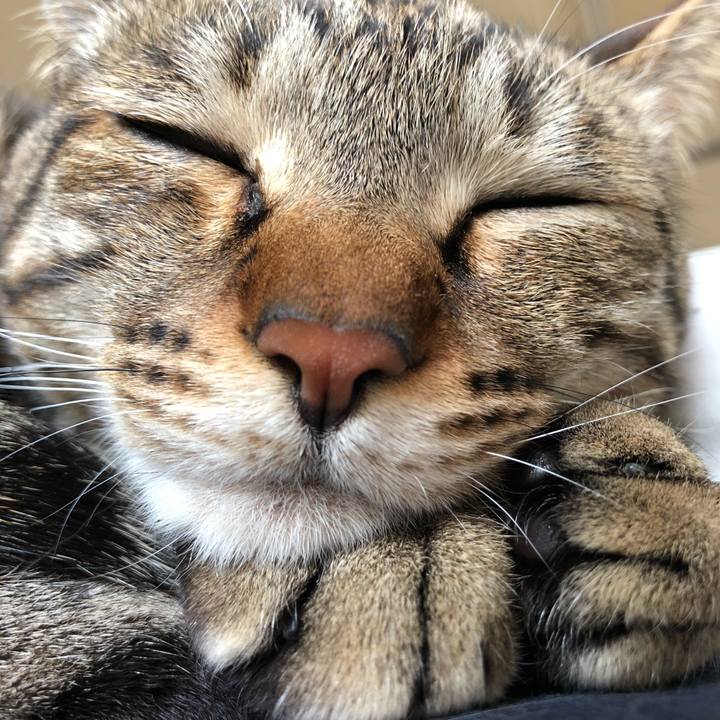 3087f8fc 187f 4971 be32 6e6cf7b9ef92 1526094030832