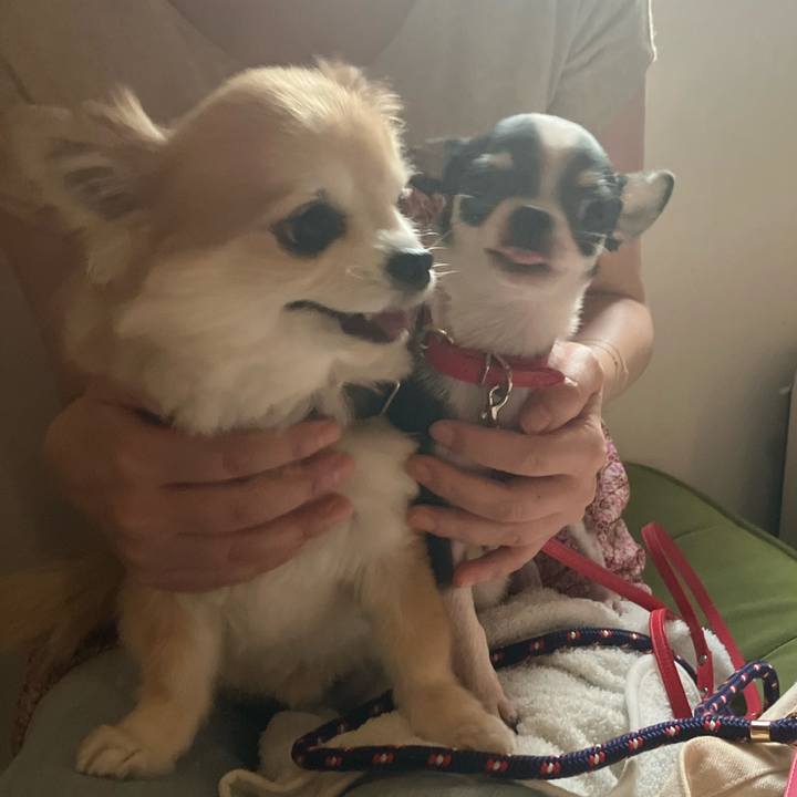 3088067c 40c8 4ec1 a817 b04fae57a85e 1753185327253