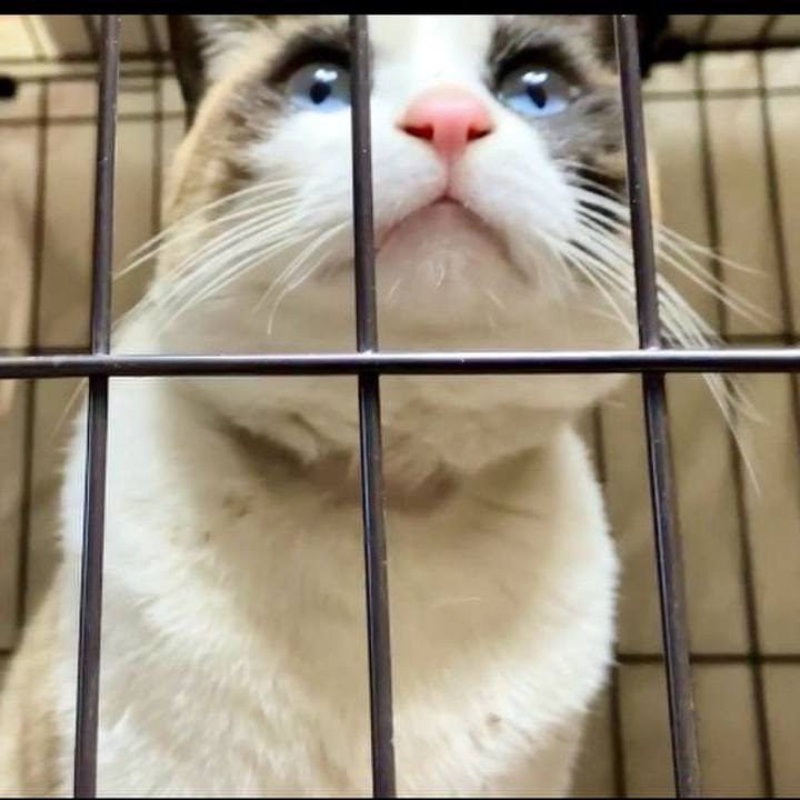 30882e9c 2aed 4530 aa36 e6275c0045b3 1740397797067