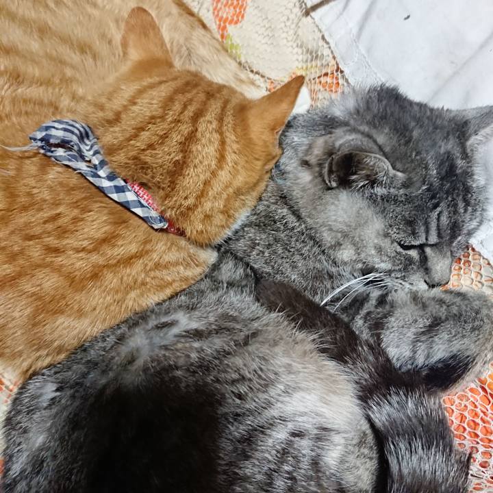 308891fb 37ae 4469 bf77 e5aa2b3f6fe4 1574820192831