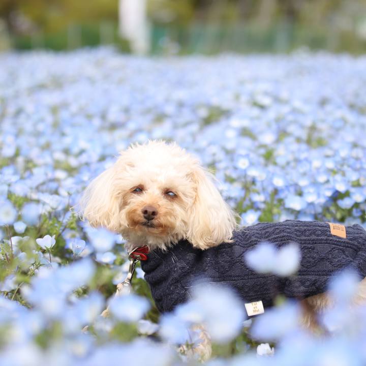 3088ba65 e42a 4367 ab18 151113754b8d 1618102338969