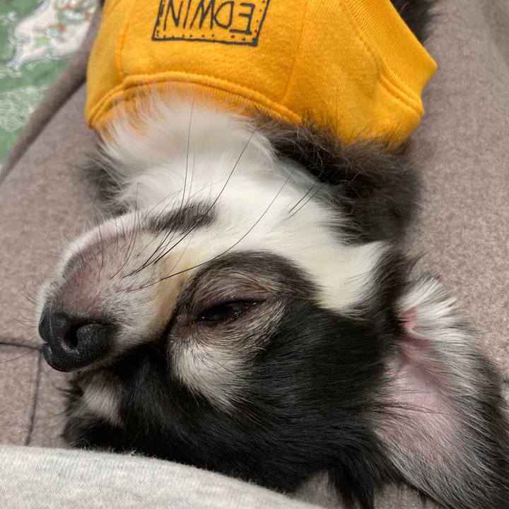 3088bb3e d243 4275 8294 aeb88e8338db 1670080113113