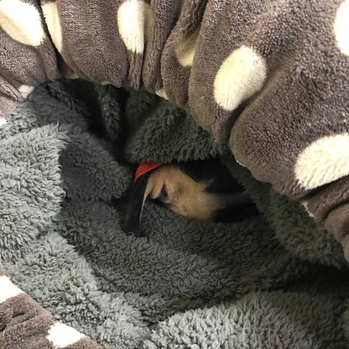 30891325 2561 48da 96bf ad47a36d2cc0 1515238312038