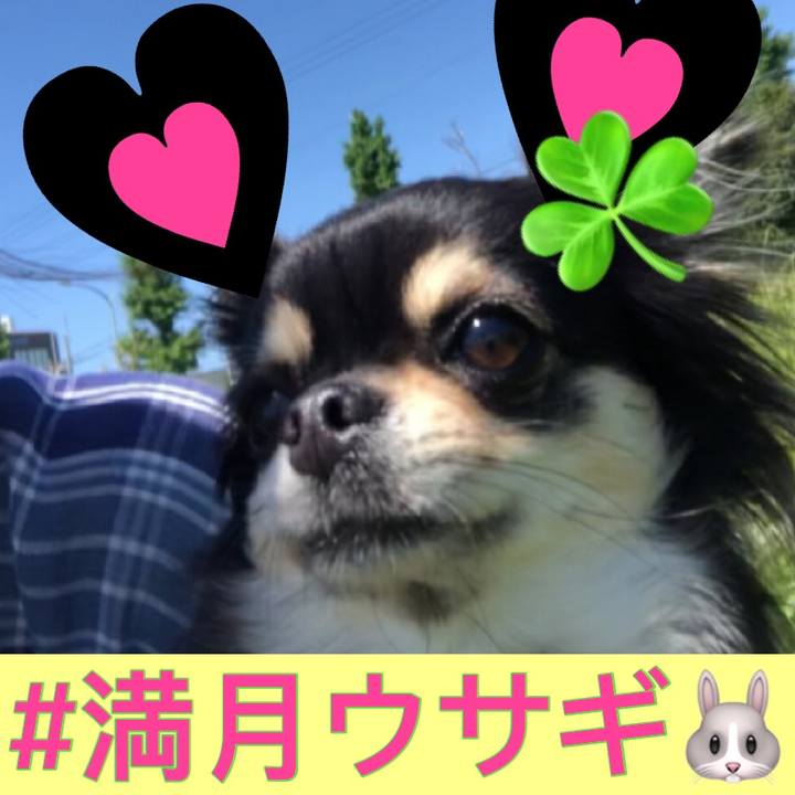 3089337b 4f00 4353 8ee9 b1d462018771 1588816533504