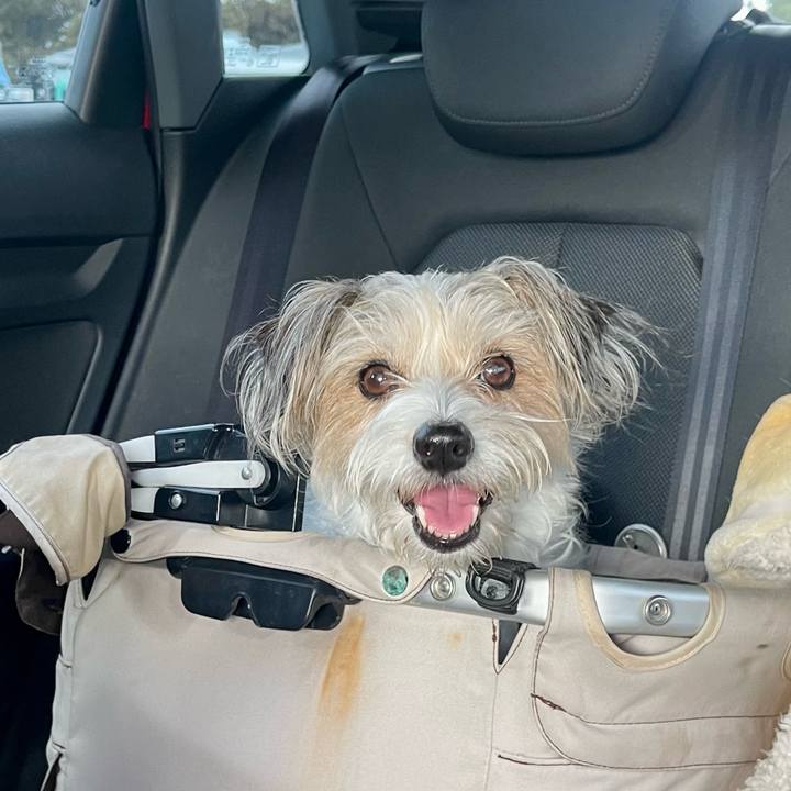 30895a2a 0994 48e5 bf78 a89afb72d3e8 1777067494471