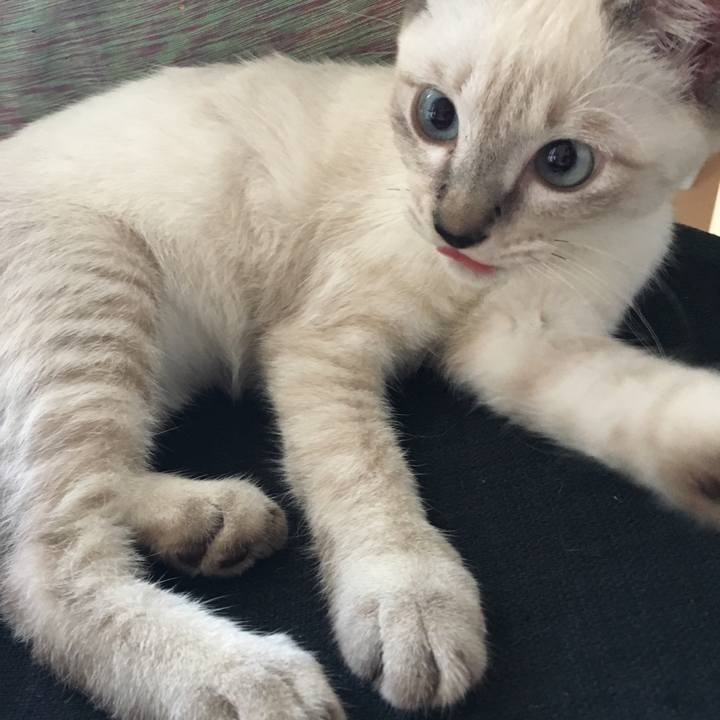 3089c706 6dfc 49f8 a28d b5c9aec4c59c 1536215696674