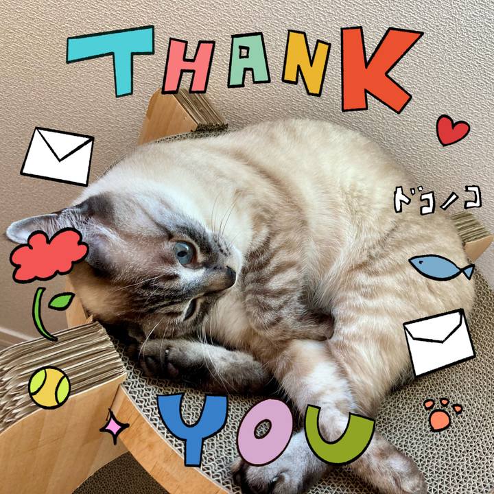 3089c740 93ba 4894 8302 98574712e06c 1715411995980