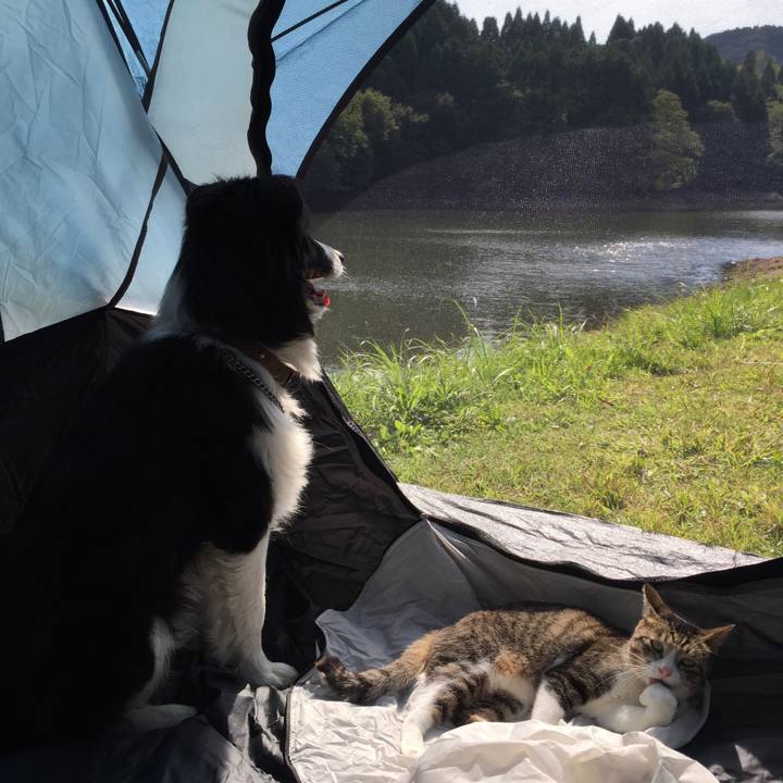 3089cd47 285d 40f0 84a2 4f68e5df2600 1539579263611