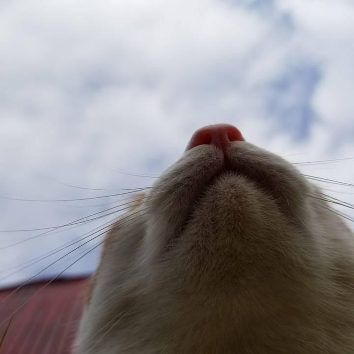 3089e241 7376 4809 b454 fbdbff8070cb 1516502964536