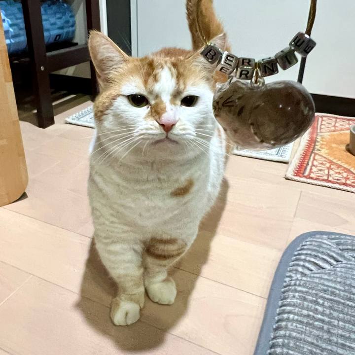 3089fdb0 4043 4d7a a407 91300f956d47 1772598005657