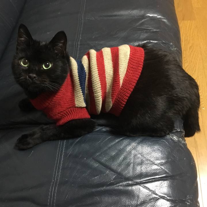 308a05fe 4d60 49d4 ad13 70a568a8958b 1539693289030