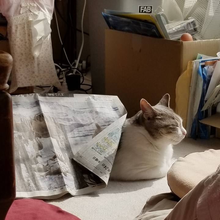 308a2fd7 50a6 494a 8ea8 98ab29a15ce4 1647999556225