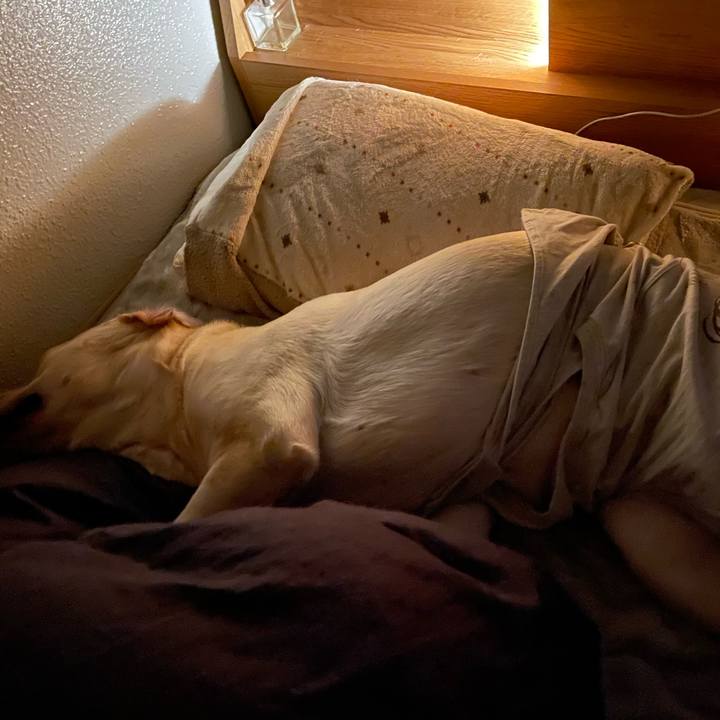 308a3401 a62f 4564 9c19 92e561d95d3e 1646008033853