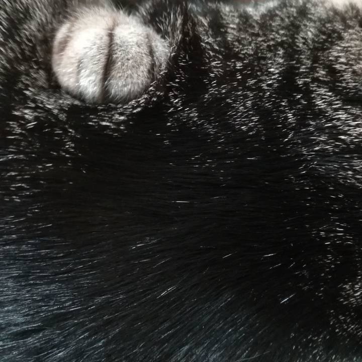 308a6456 11e3 4bd0 9ca7 0f7ed7103eaf 1578063069650