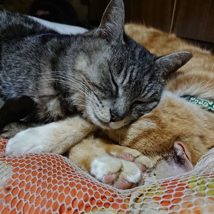 308a79df 5e37 4d36 b6aa 0b39e661d914 1585312484770