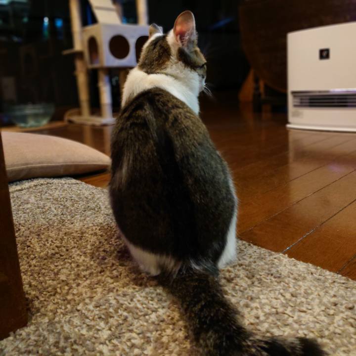 308ab83c 4626 4c8d 9a12 658307b8c294 1552347668309