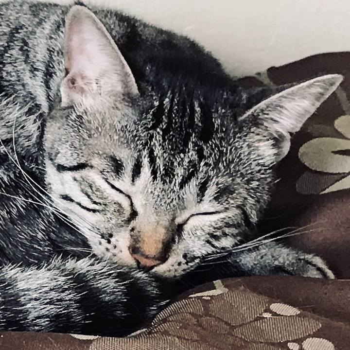 308ae7e6 14be 4730 a15d 61fd9f04767f 1587443917487