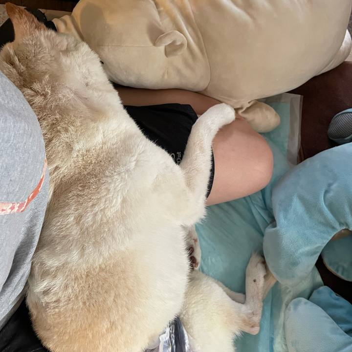 308b21fe 187a 4beb 889a be73547ae841 1662256830078