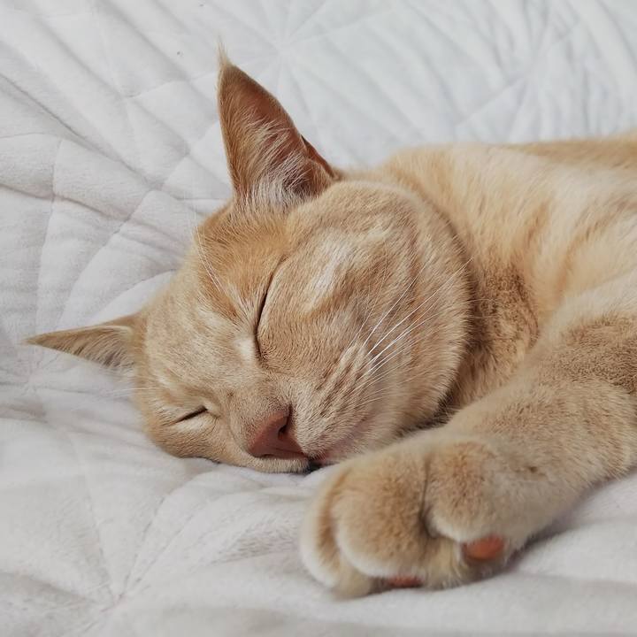 308b5350 b390 44bb 95e5 f914ff25134a 1624422337101