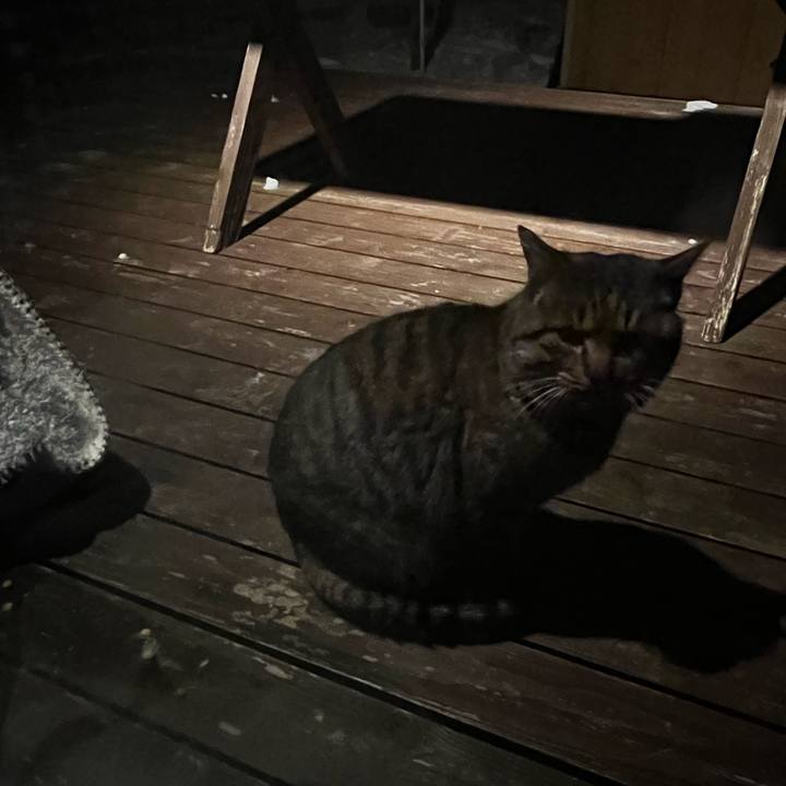 308b61be 9cbf 4fde b885 de4a9b743993 1733840233926