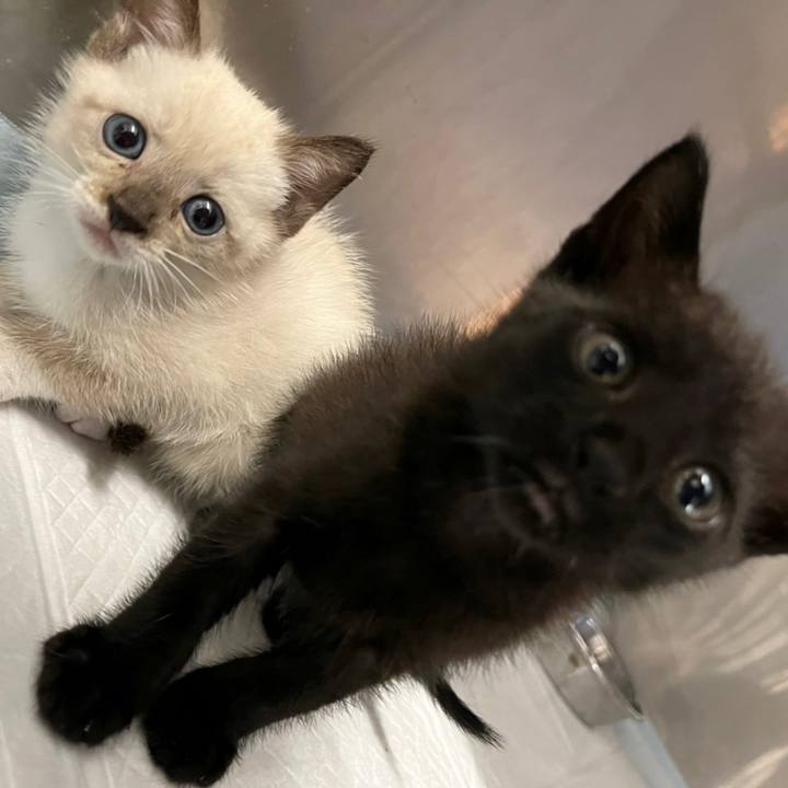 308b61f5 d709 4823 a368 50d85ca7914d 1662638191595