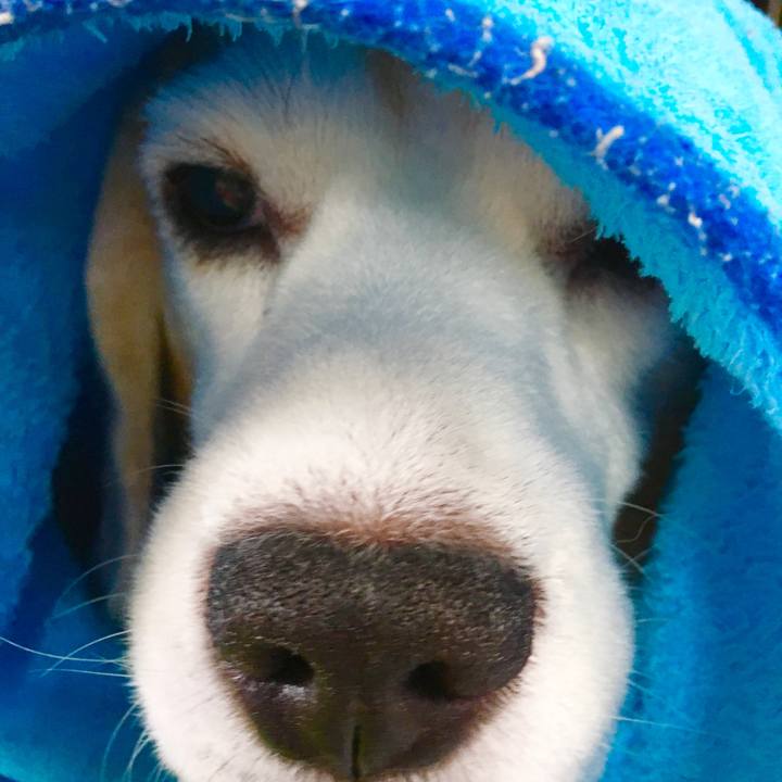 308b6485 d6fe 45ff 85dd 61399b3788c2 1572754068868