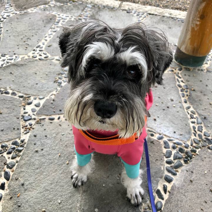 308bae0d a3db 4a46 9cb4 607c28f0ecb1 1695421440722