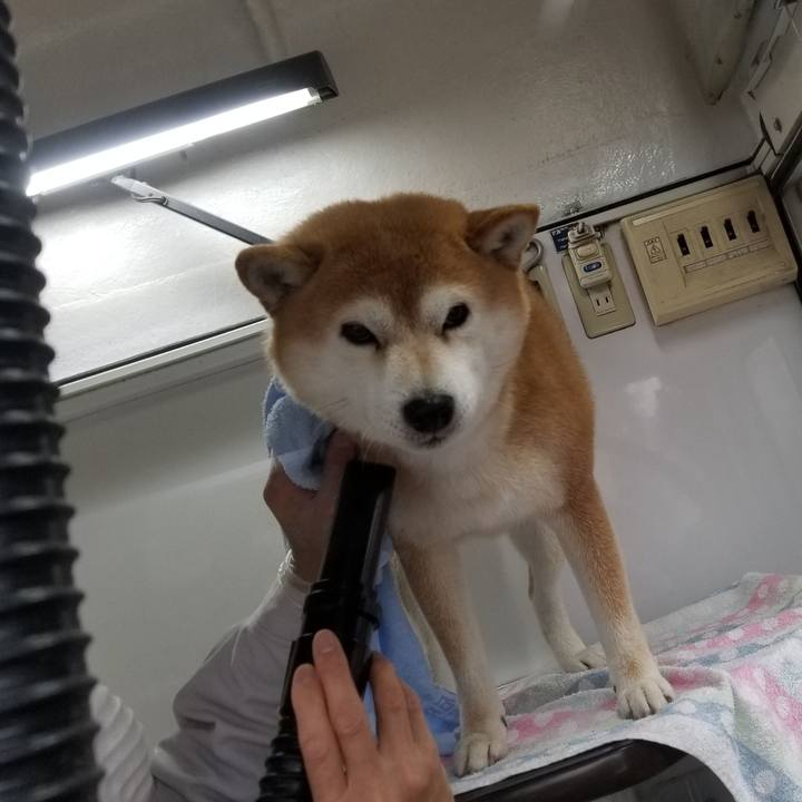 308bbfbc ba52 4006 9877 b13e9e26e0b7 1582679415031