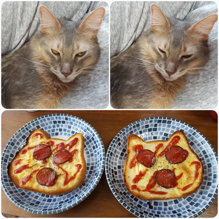 308bc622 a517 4622 85b1 10623dde44c7 1586076527140