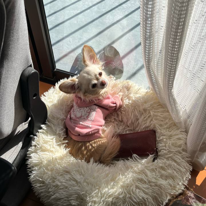 308bd1b4 a797 4bf8 98ca 0f5a7f0066bf 1736414060071