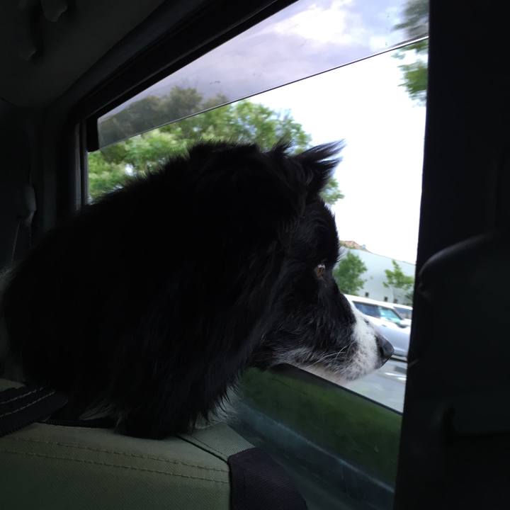 308bf9f9 c3c0 44eb b81d aa198fd6c09e 1530448434569