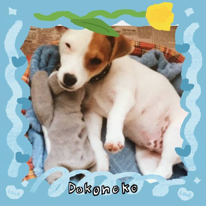 308c163e 73a0 4101 8c4f cbf2d6890655 1772320797914