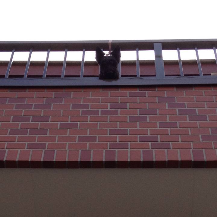 308c3305 c687 4c64 86cc 16b3fca4fbc3 1560662998538