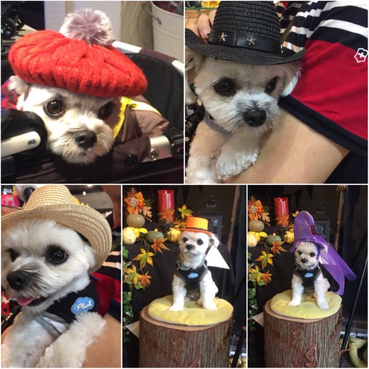 308c4780 a806 431e bc60 6caf4a892b8c 1526718116879