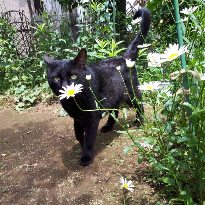 308c4b30 f5d4 49c8 94c1 42852973b2d0 1654682327870