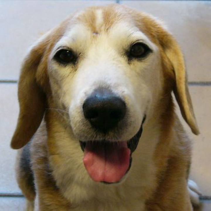 308c601b 71d8 4601 809c 6d19f40688ae 1690070678283