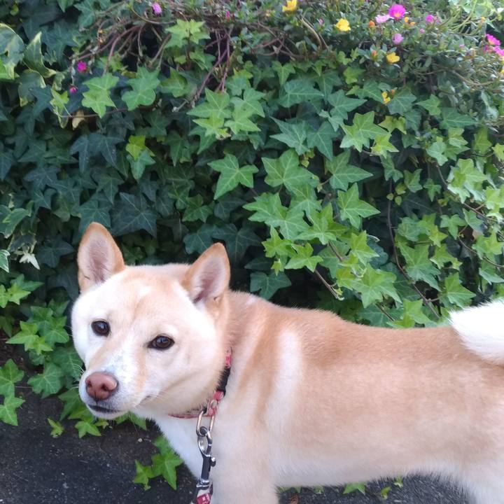 308ca549 7ba4 4e93 8823 a42def43cca1 1540880677501