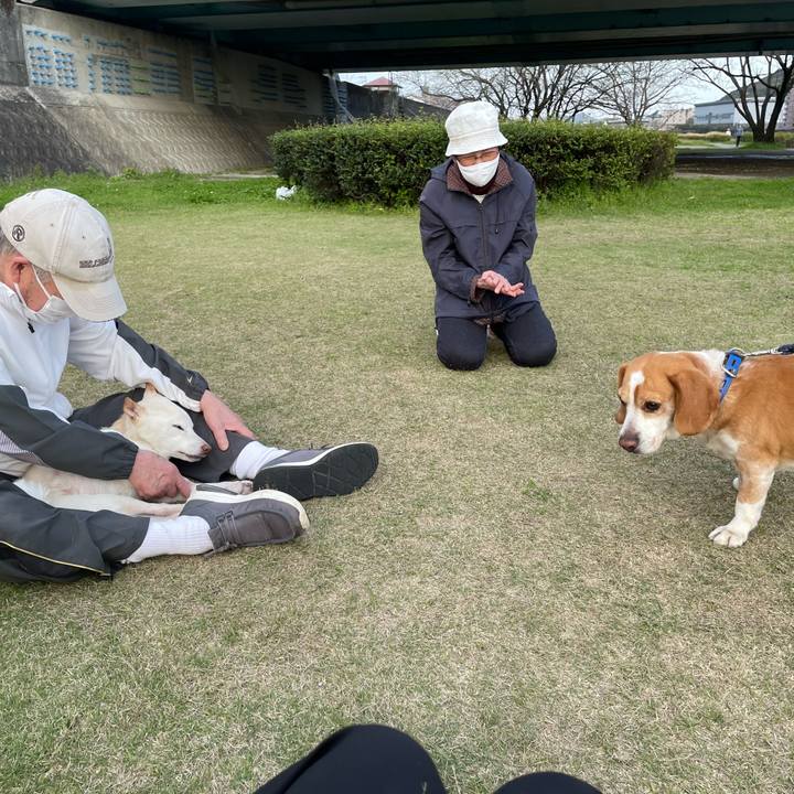 308ca7a7 6280 4d03 af2b c64573e5f35b 1680094583807