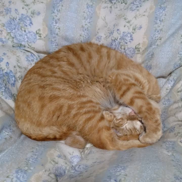 308cc58d 1614 406c 9b8a e051162c58a9 1666528736097