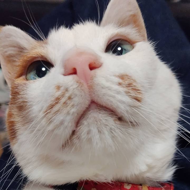 308d084a 5caa 4023 8780 a34c76c12155 1759999964141