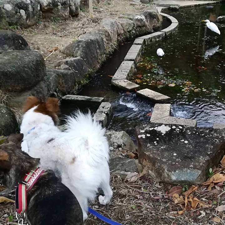 308d0e03 c851 4ecf a005 667eaa0052f5 1575087706917