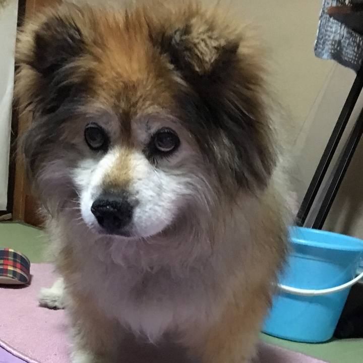 308d182b cfd5 412e ade5 051f636af63e 1570767017878