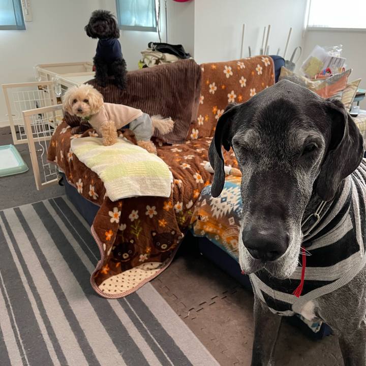 308d1a11 8482 48aa b8d7 b8c36351f384 1649287065437