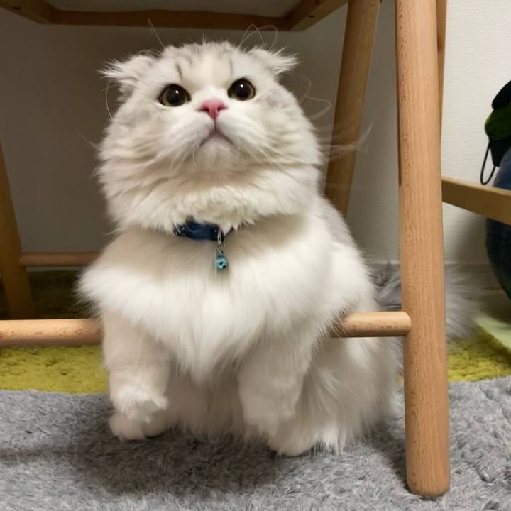 308d1dde 8ad8 43aa a8b4 a65e93cd3a4c 1615612779466