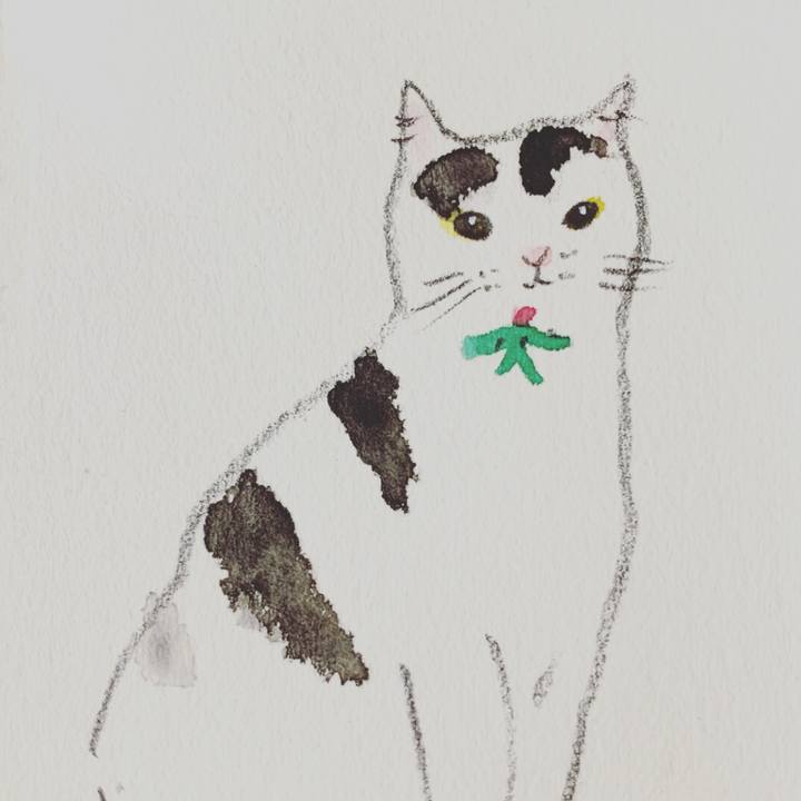 308d2260 b893 4dcd 8e93 1569f9d64bcf 1604997102921