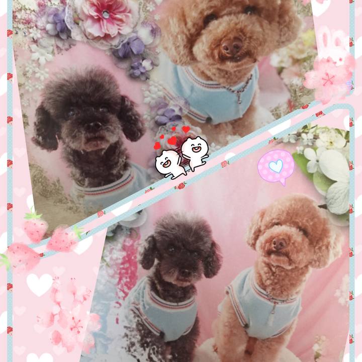 308d4ef2 2792 4193 a262 33ae73254fb3 1522304526112