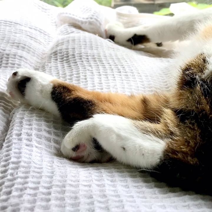 308d6dab 38cc 4a05 a56b 58c55c617484 1560298361054